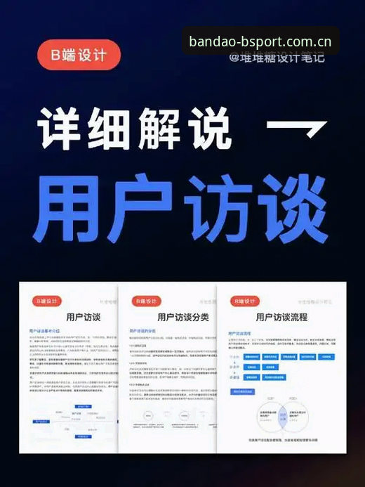 资深用户分享：BSport中文入口实战经验，从新手到高手的完整操作指南